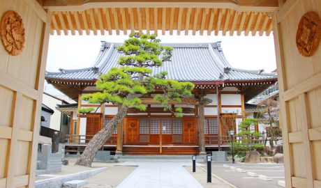 唐人町にある浄慶寺です。山門の開かれた木製の扉から本堂を臨みます。本堂の前に松の木がななめにのびています。