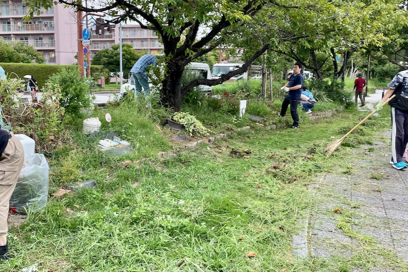 草刈り、花植えをする前のホークスとうじん通りガーデンです。雑草だらけな花壇をみんなで草刈りしています