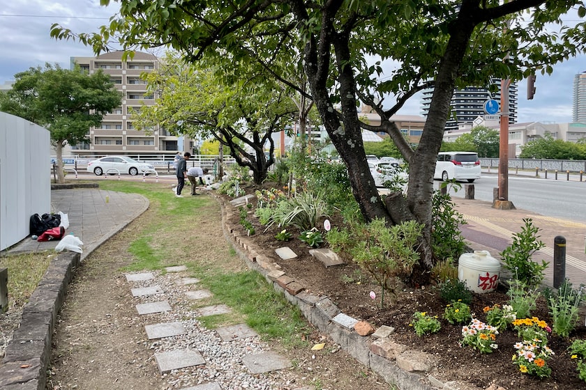 新しいお花が植えられたホークスとうじん通りガーデンです