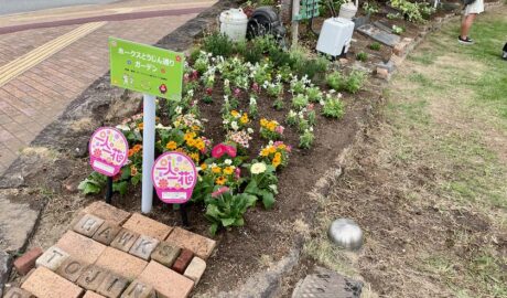 新しいお花が植えられたホークスとうじん通りガーデンです