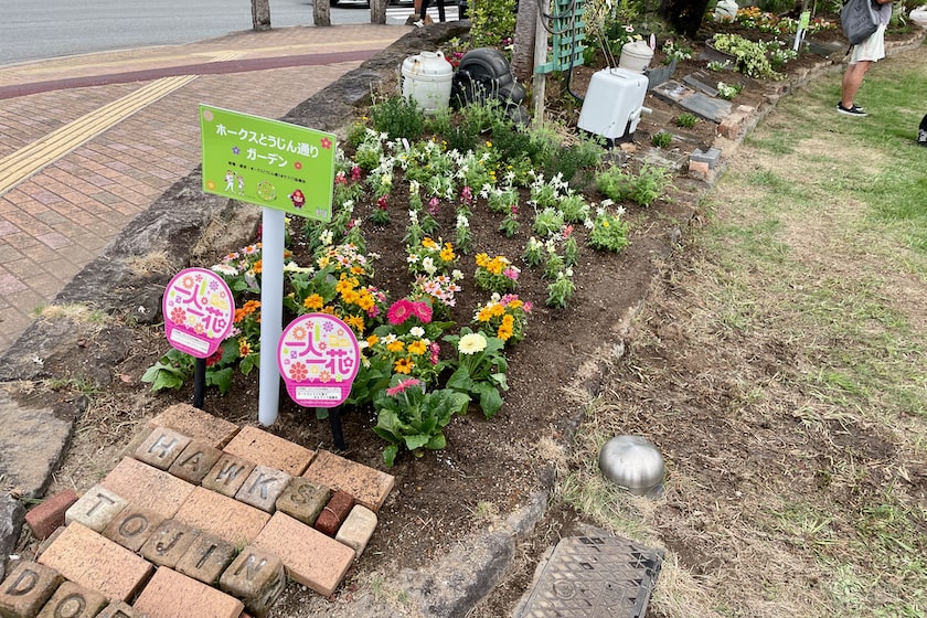 新しいお花が植えられたホークスとうじん通りガーデンです