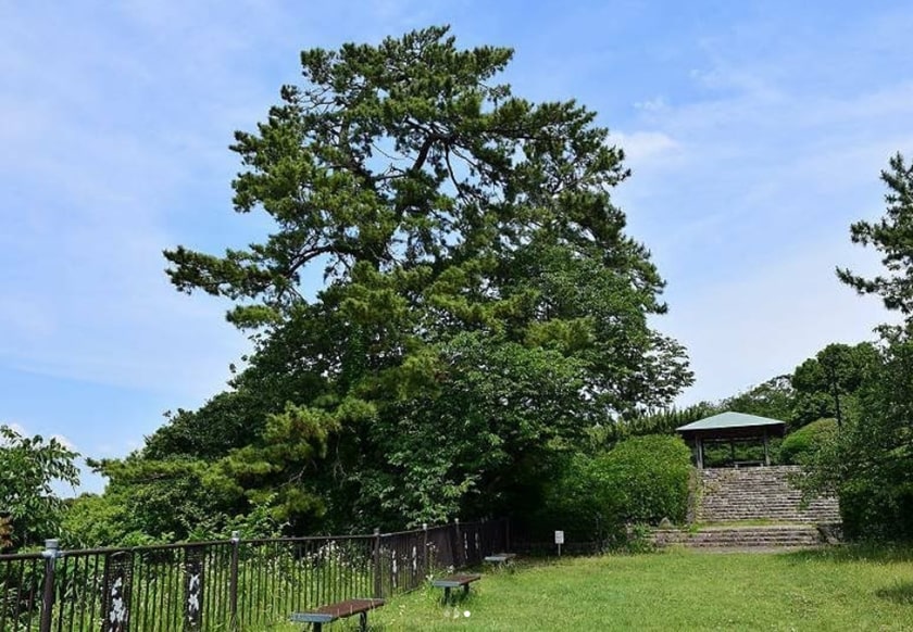 西公園樹名札