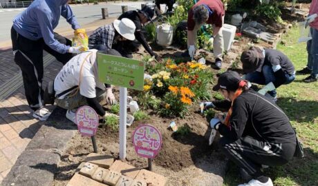 地域のみなさんによるホークスとうじん通りガーデンでの花植えです