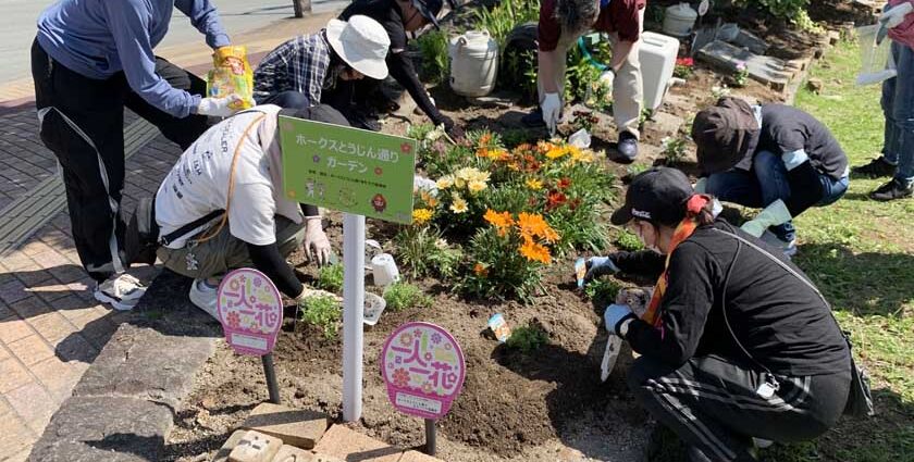 地域のみなさんによるホークスとうじん通りガーデンでの花植えです