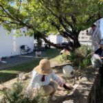 地域のみなさんが、ホークスとうじん通りガーデンの草刈りしています
