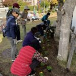 ホークスとうじん通りガーデンを地域のみなさんで花植えをしているところです