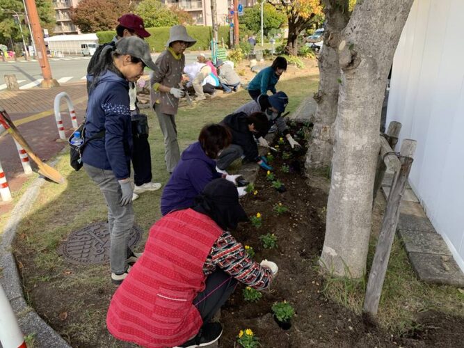 ホークスとうじん通りガーデンを地域のみなさんで花植えをしているところです