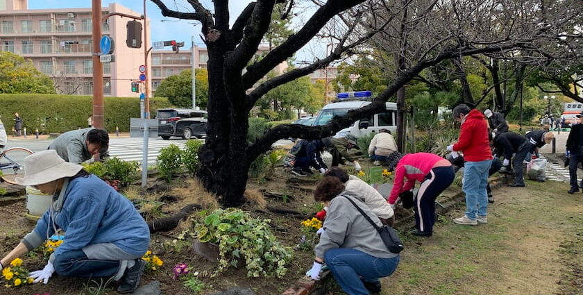 ホークスとうじん通りガーデンを地域のみなさんで花植えをしているところです