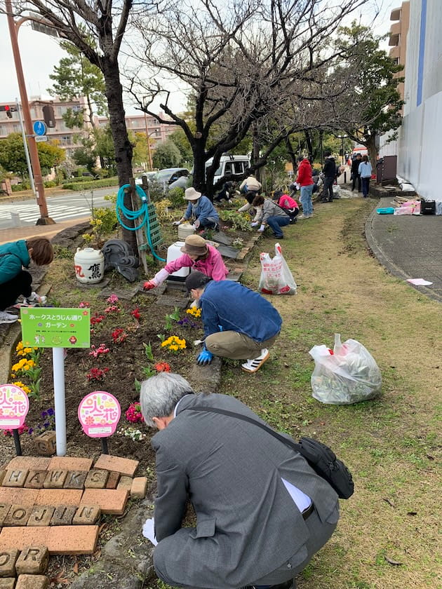 ホークスとうじん通りガーデンを地域のみなさんで花植えをしているところです